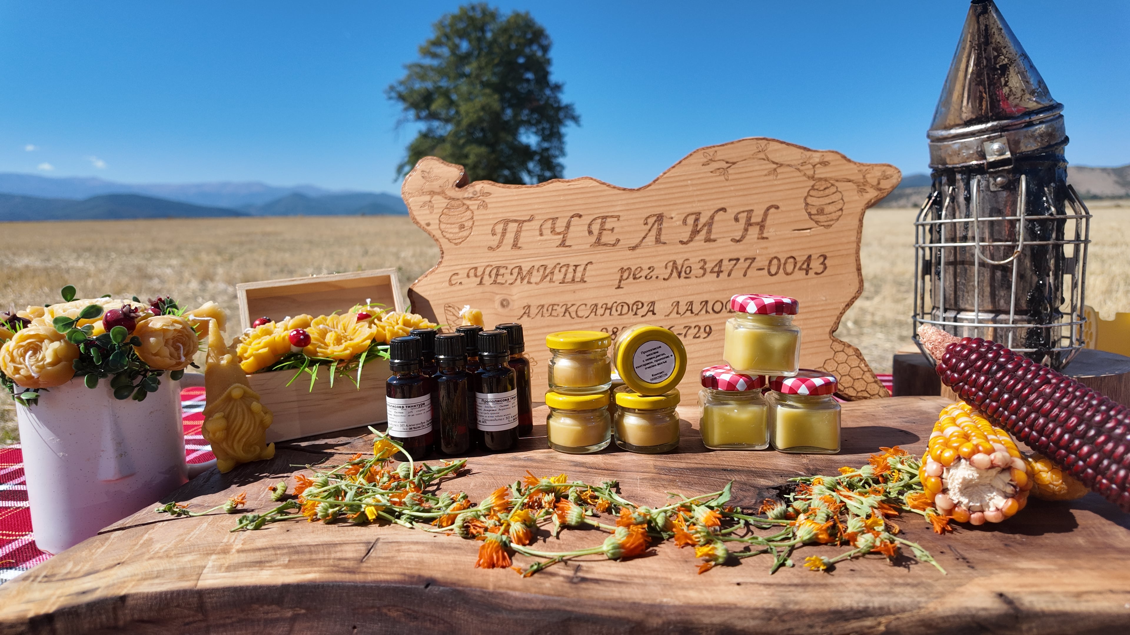 Пчелин Чемиш - Пчелни продукти