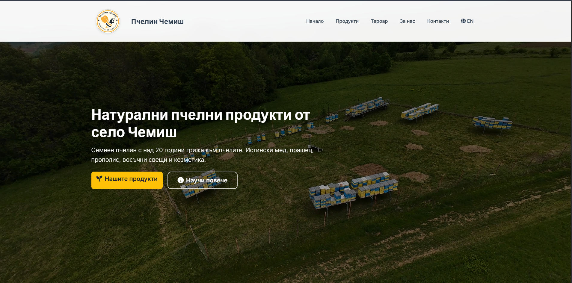 Шаблон Пчелин